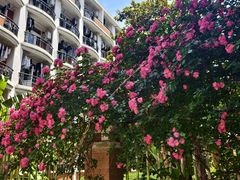 -同济大学-北苑食堂