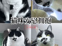 -科道动物医院·急重症中心(万达院)