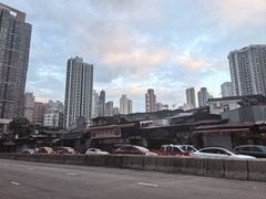 -油麻地果栏