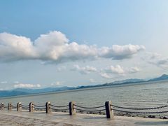 -深圳湾公园(南山区)