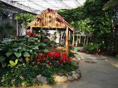 -北京植物园-展览温室