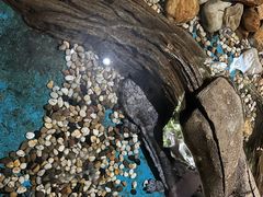 -多彩贵州城极地海洋世界