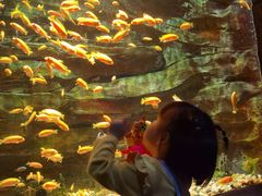 -多彩贵州城极地海洋世界