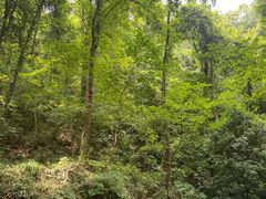 -杭州灵山景区