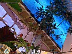 -桂满陇·蟹黄小笼汤包(清河万象店)