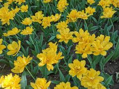 -长春公园(普阳街道)