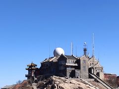 -赵记煎饼卷大葱(东岳店)