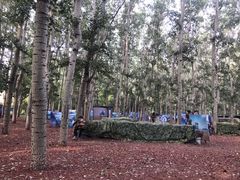-朝阳公园真人CS