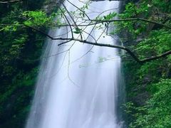 -井冈山风景名胜区