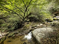 -青峰峡国家森林公园