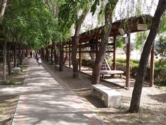 -河北村民俗体验园