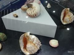 -亚龙湾中心广场