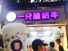 -一只酸奶牛(八一路店)
