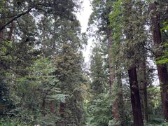 -瑞凤殿(Grave of Date Masamune)