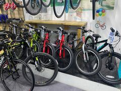 -GIANT捷安特自行车专卖店(金桥台儿庄路店)