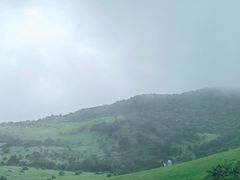 -大姆山草场