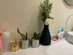 -MOE BEAUTY.皮肤管理中心