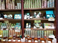 -布兰兔的植物庄园(杭州南宋御街店)