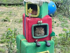 -青藏高原野生动物园