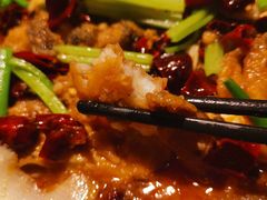 -老板恋上鱼(高新万达店)