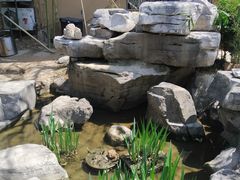 -聚缘堂·海鲜私房菜(松岭路店)