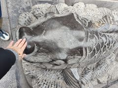 -开封府