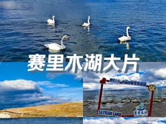 -赛里木湖风景名胜区