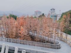 -福道