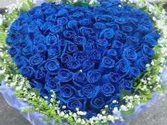 -怡花宜木鲜花店(朝阳路店)