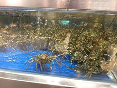 -盒马鲜生(莱蒙都会店)