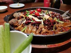 -老板恋上鱼(荣盛广场店)