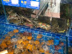 -大厨的餐厅(曾厝垵总店)