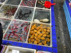-霞涌市场海鲜摆卖区
