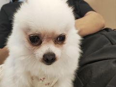 -怪兽屋·羊驼·猫咖·狗咖(俊华广场店)