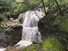 -牛背梁国家森林公园