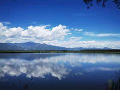 -野鸭湖国家湿地公园