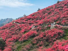 -木兰云雾山