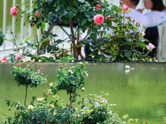 -人民公园(罗湖区)