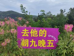 -本溪大峡谷