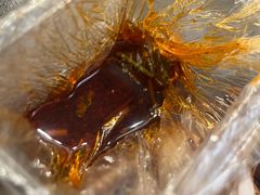 -桥乡缘过桥米线(胜利街店)