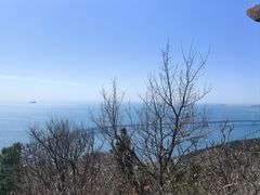 -星海湾跨海大桥