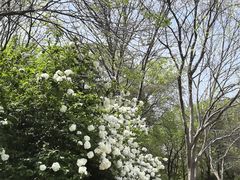 -杭州城北体育公园
