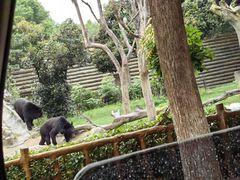 -常州淹城野生动物世界