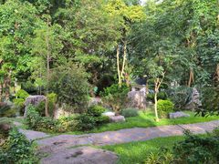 -东莞植物园