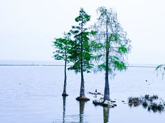 -大理洱海
