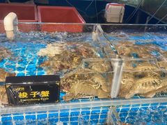 -九月海·海鲜自助(世纪东方店)