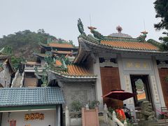 -南海湾森林生态园