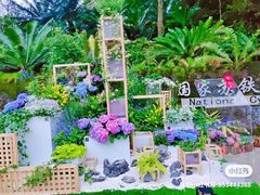-深圳仙湖植物园