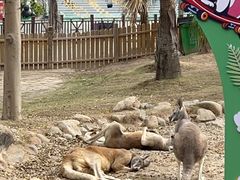 -灵玲国际马戏城