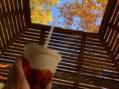 -春晖园度假酒店温泉